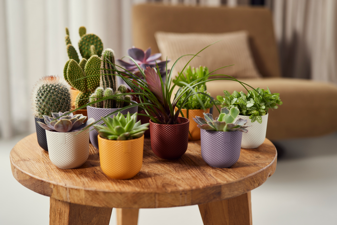 jazz rond mini 9cm zijdewit